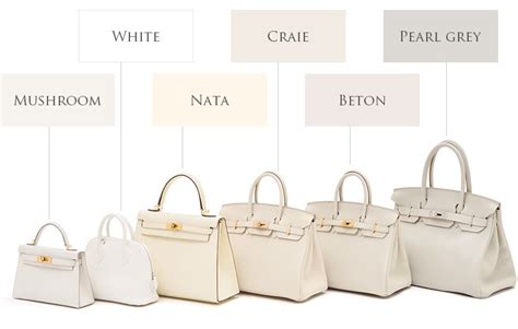 most practical hermes bag color|what color is Hermes beton.